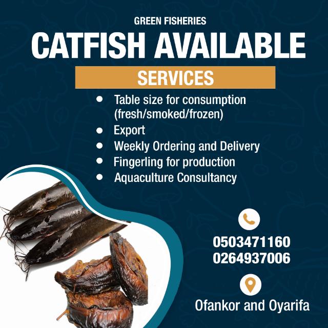Catfish fisheries